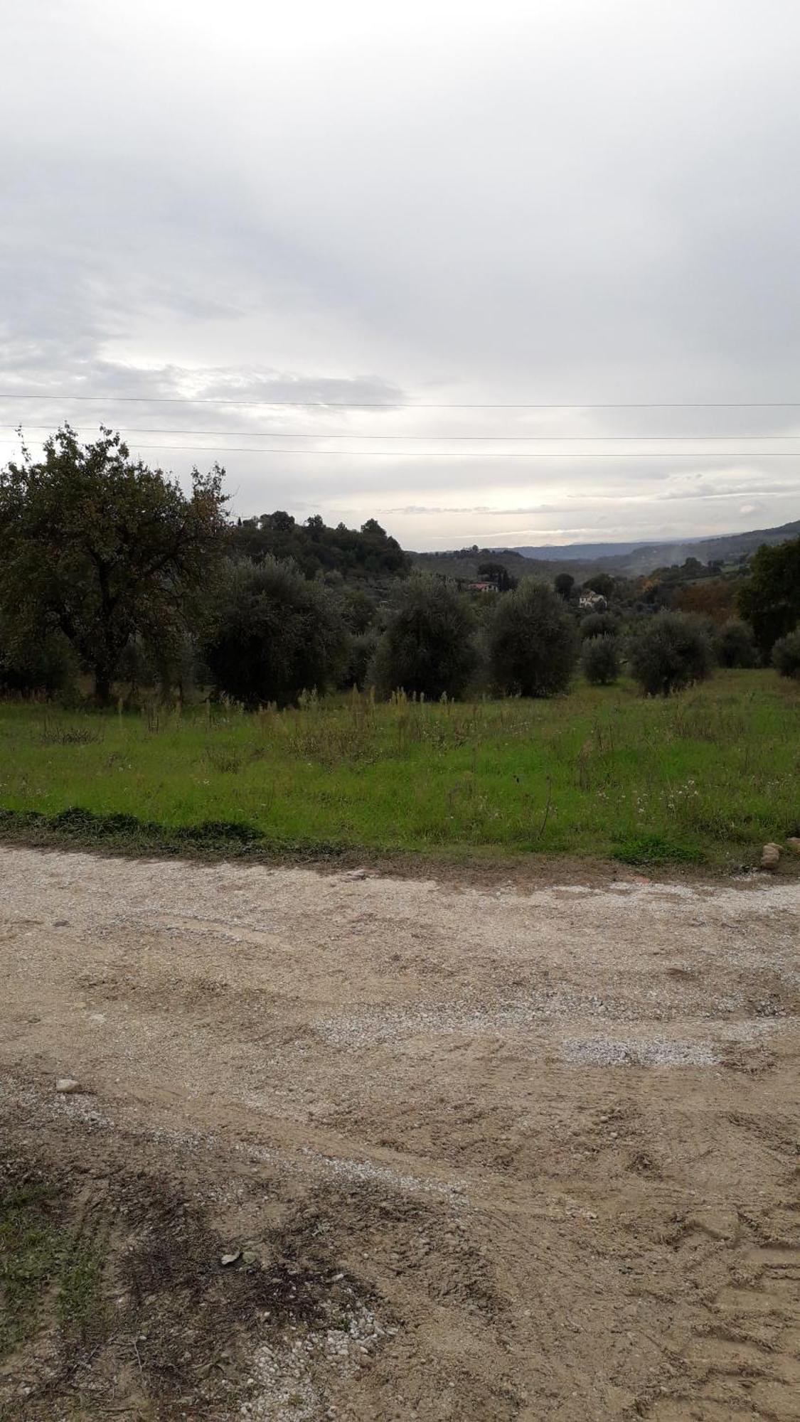 Agriturismo Marinella Amelia Eksteriør billede