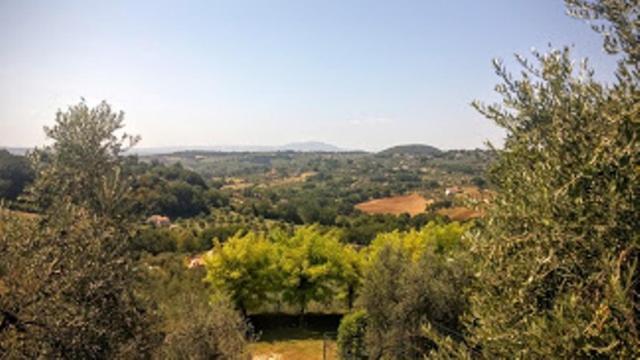 Agriturismo Marinella Amelia Eksteriør billede